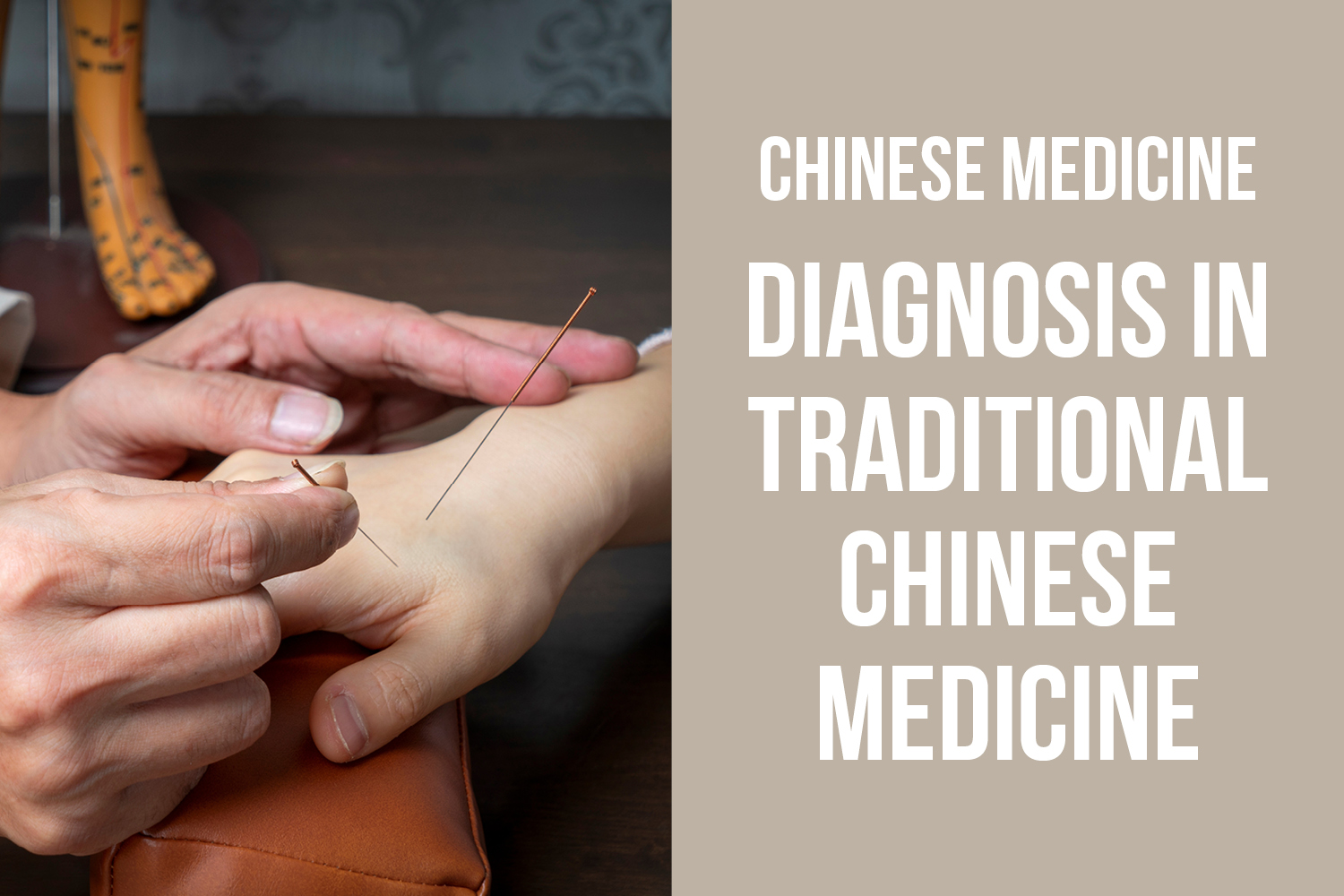 Reading the Body: Diagnosis in Traditional Chinese Medicine