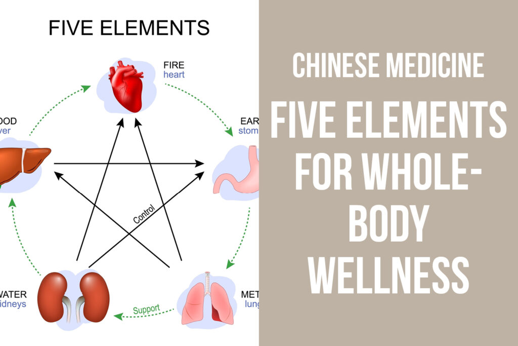 The Five Elements: A Framework for Whole-Body Wellness → Weald Chiropractic