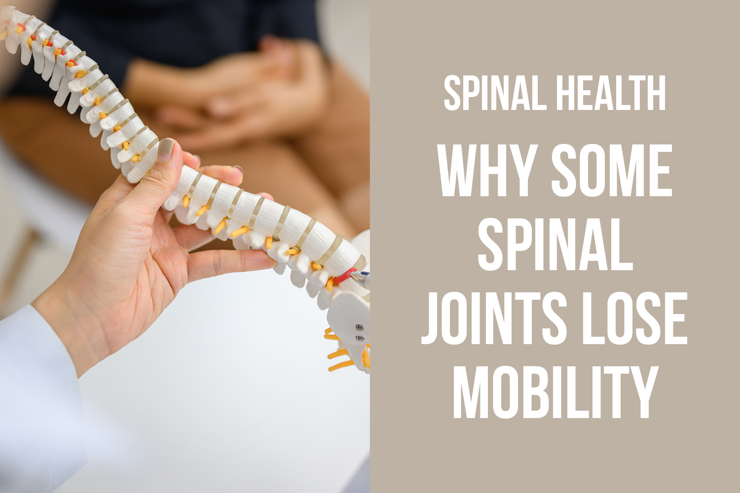 Why Some Spinal Joints Don’t Move Properly And What That Means for You