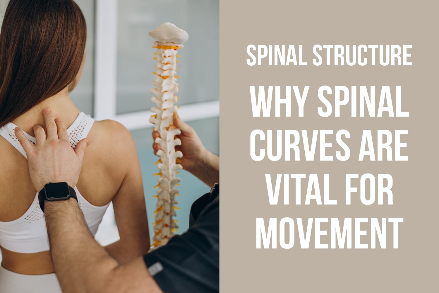 Your Spine’s Natural Curves: The Design Feature That Keeps You Moving Efficiently
