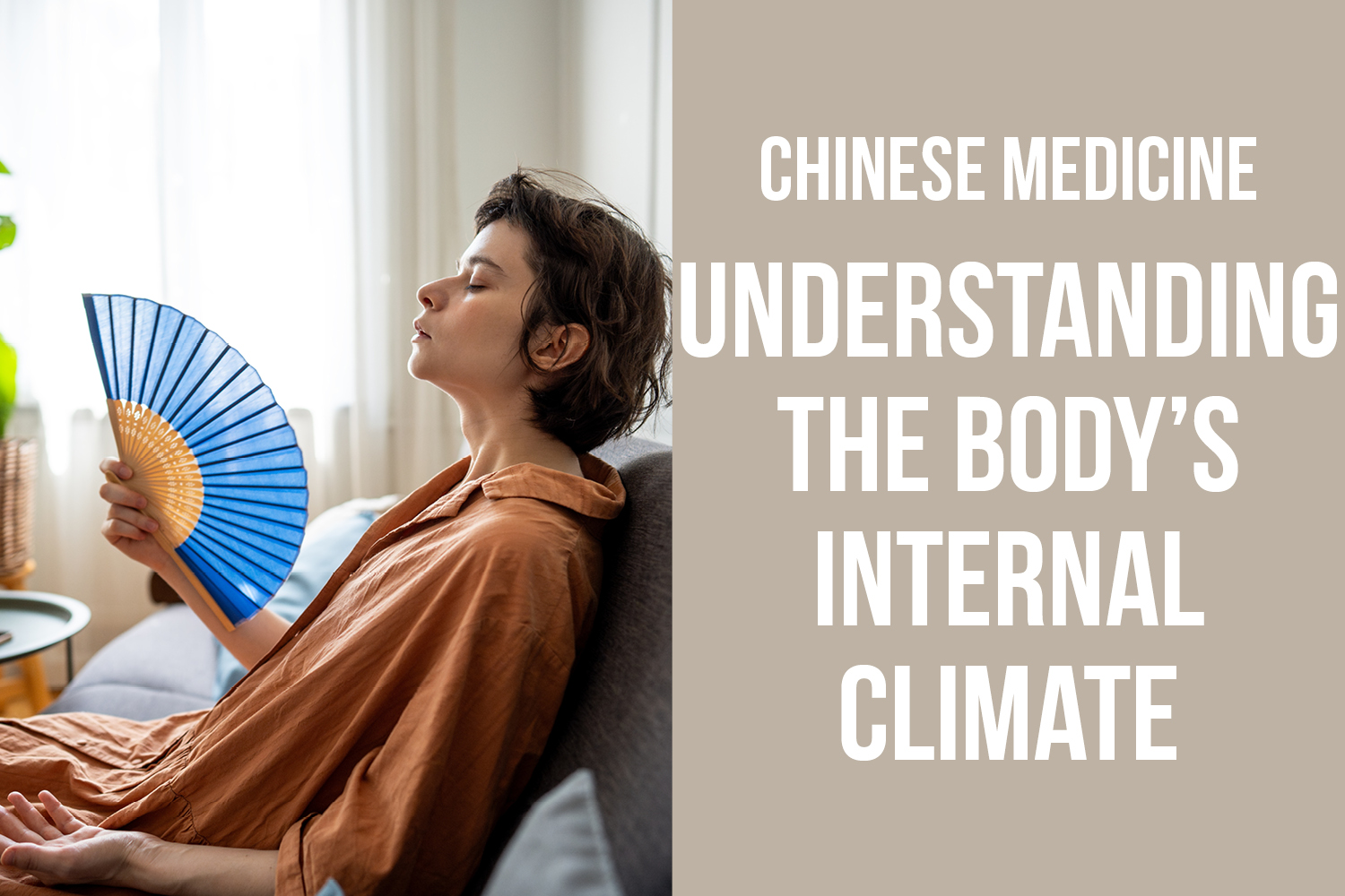 The Body’s Internal Climate: How Chinese Medicine Interprets Environmental Influence