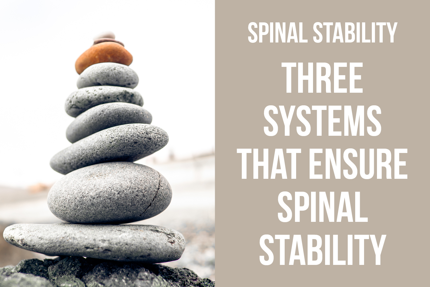 The Three Systems of Spinal Stability: Passive, Active, and Neural